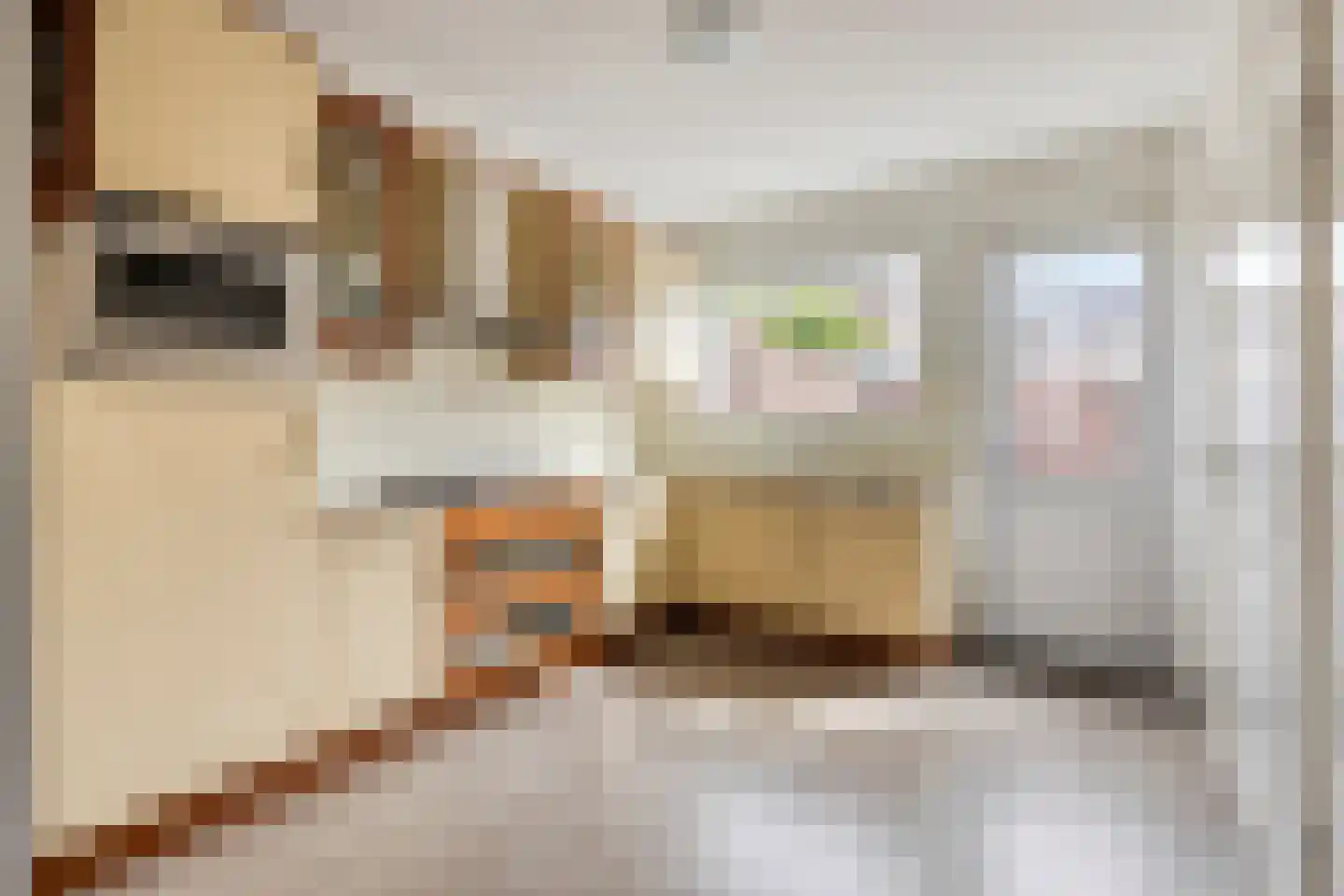 Oosteinde 78 Scherpenzeel foto 3