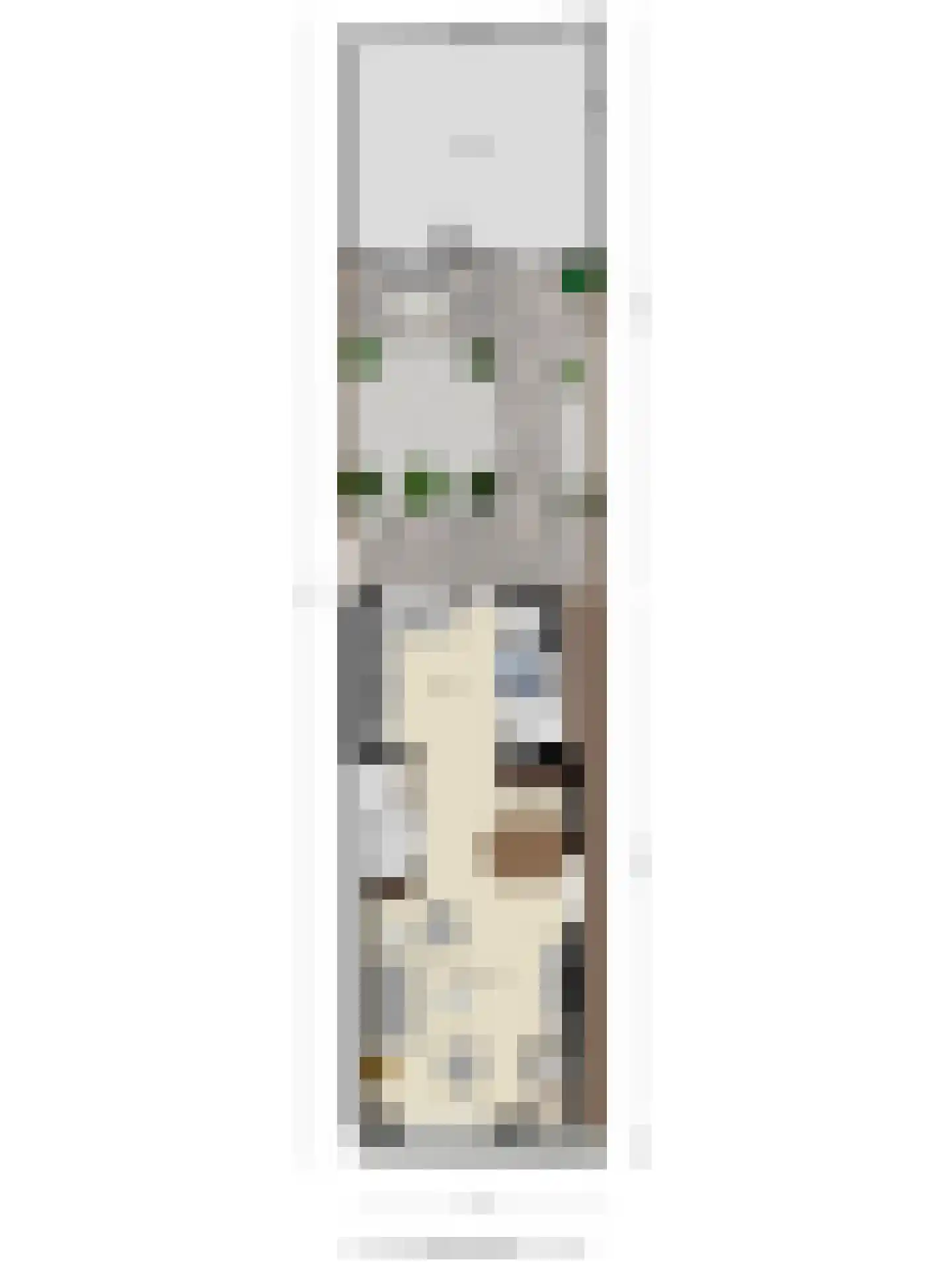 Oosteinde 78 Scherpenzeel thumbnail 32