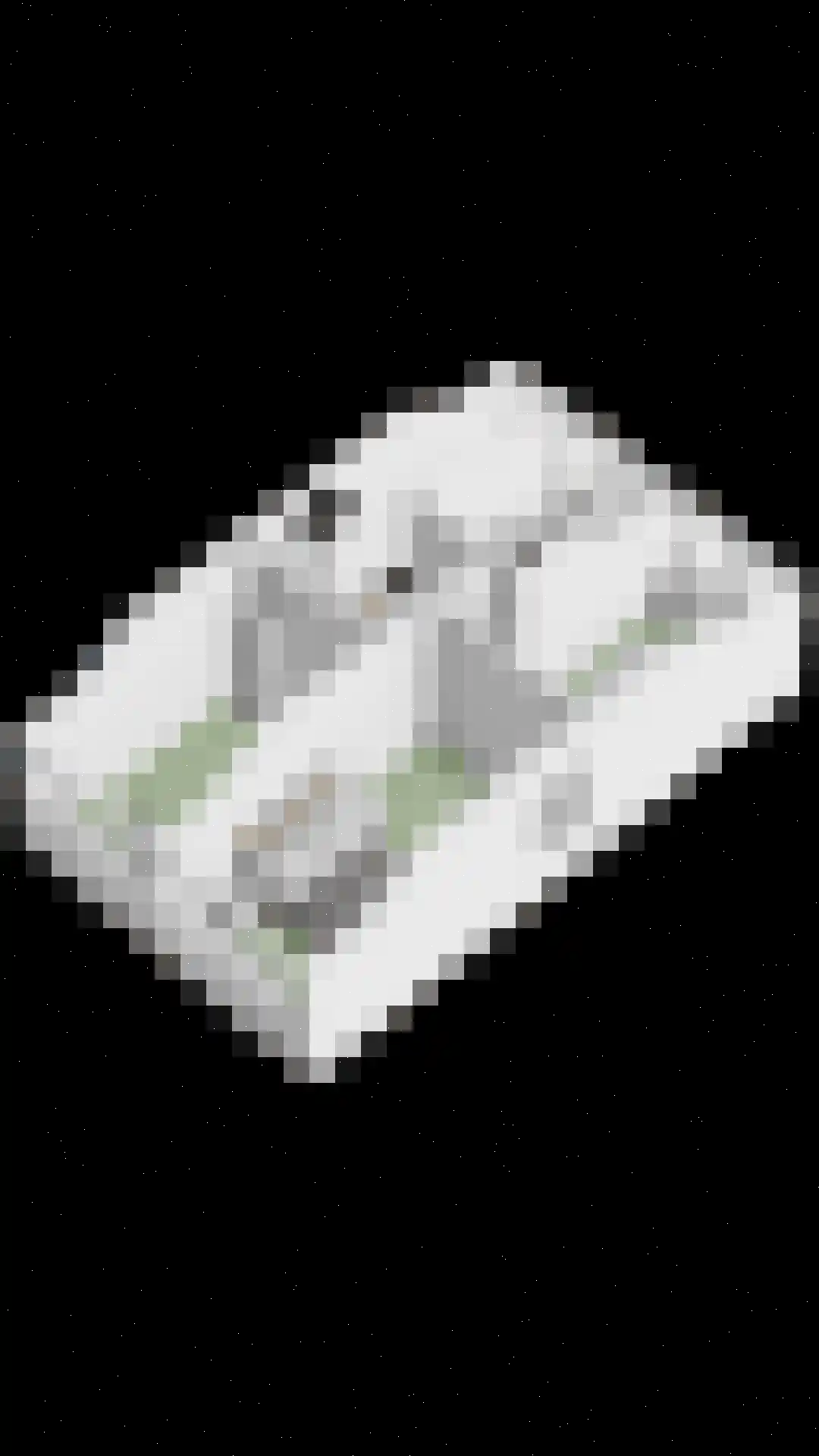 Oosteinde 78 Scherpenzeel thumbnail 34