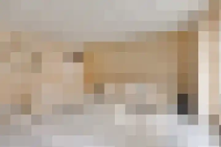 Oosteinde 80 B Den Haag thumbnail 11