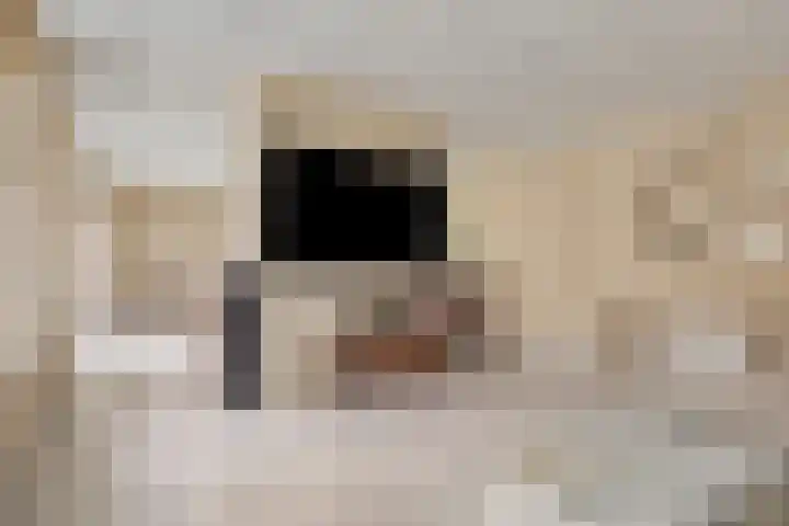 Oosteinde 80 B Den Haag thumbnail 12