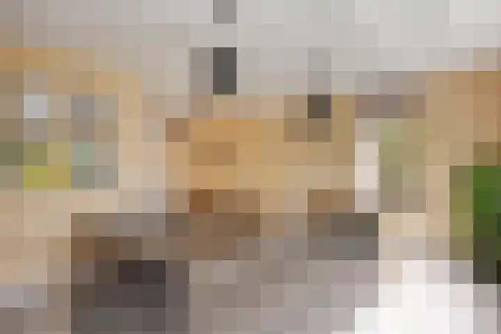 Oosteinde 80 B Den Haag thumbnail 14