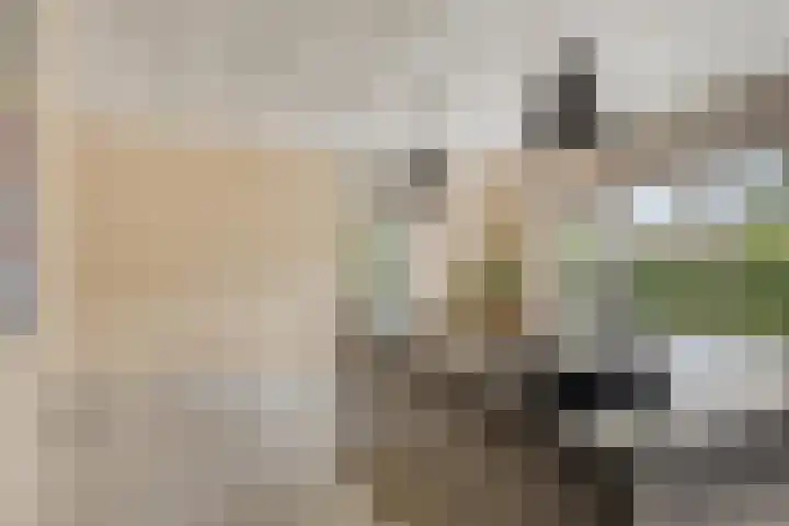 Oosteinde 80 B Den Haag thumbnail 15