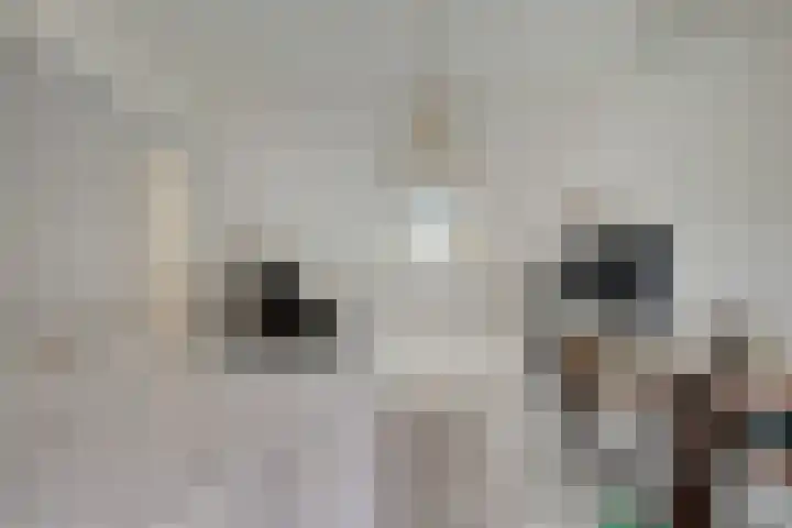 Oosteinde 80 B Den Haag thumbnail 32