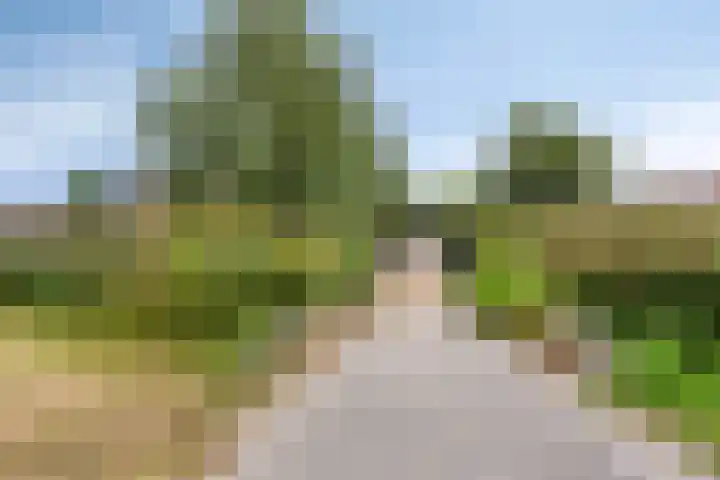 Oosteinde 80 B Den Haag thumbnail 59
