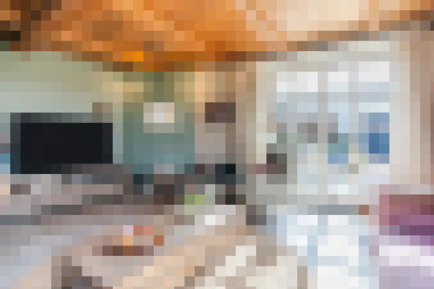 Oosteinde 86 Nieuwleusen thumbnail 10
