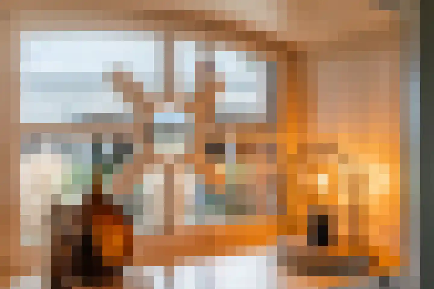 Oosteinde 86 Nieuwleusen thumbnail 11