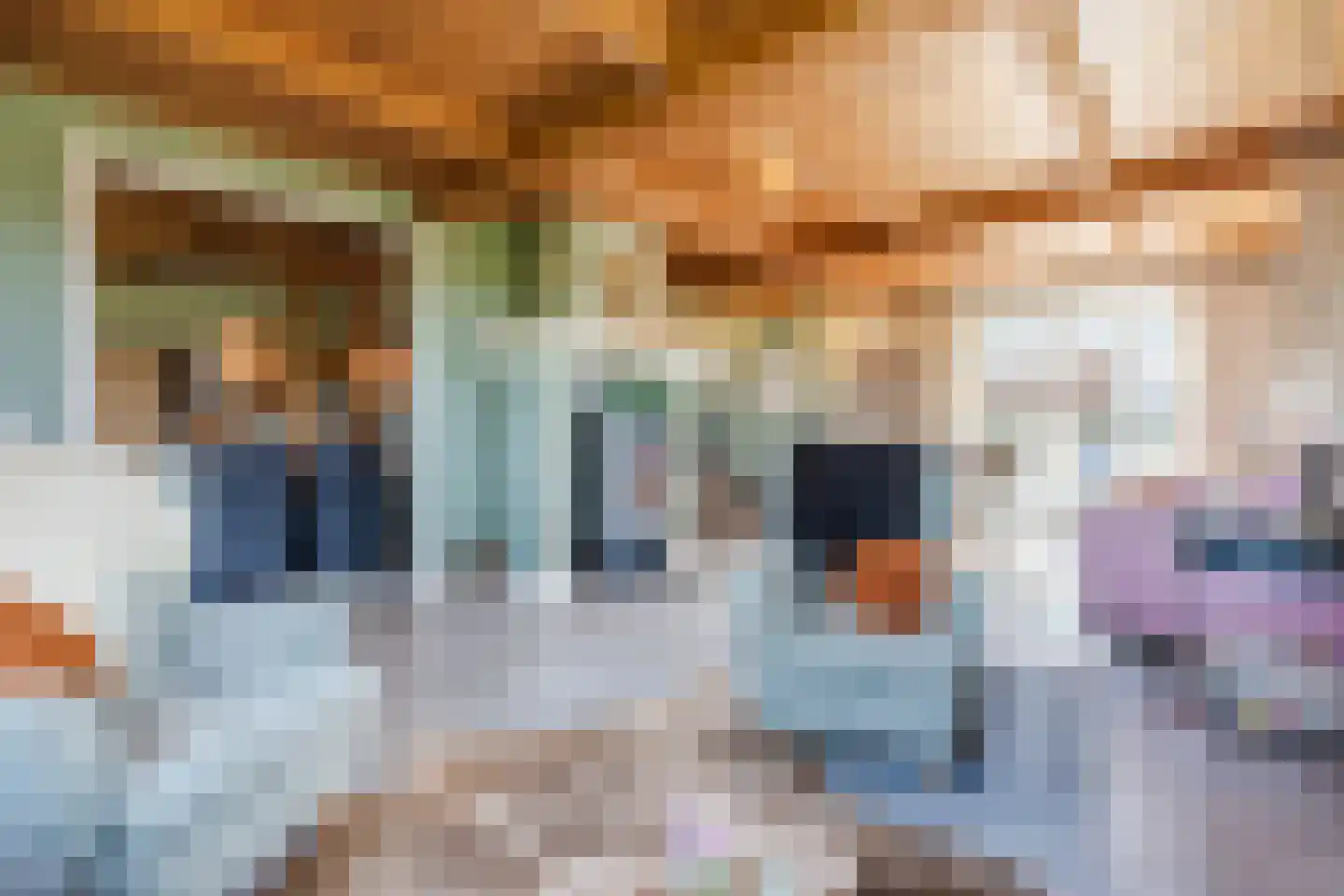 Oosteinde 86 Nieuwleusen thumbnail 12