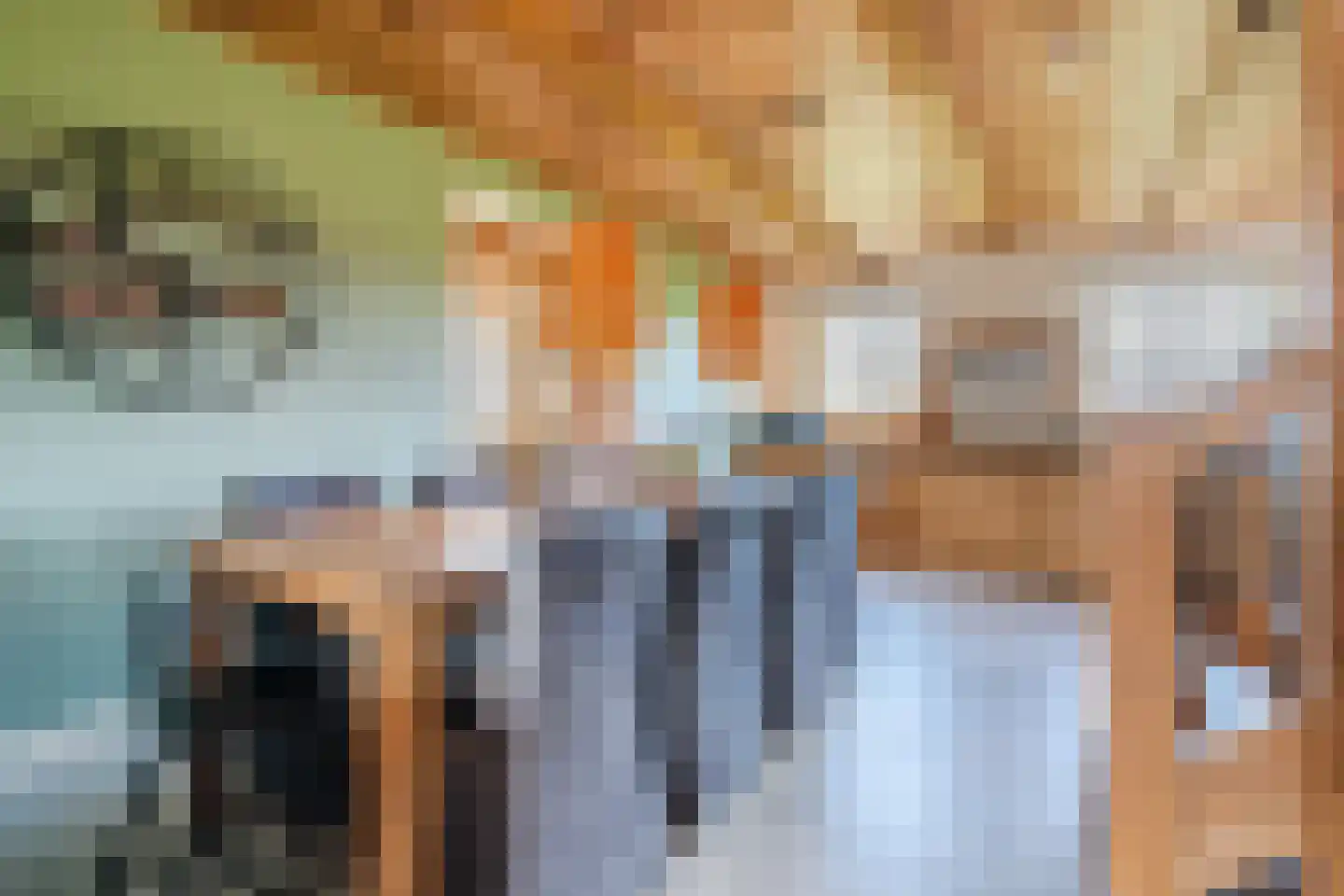 Oosteinde 86 Nieuwleusen thumbnail 13