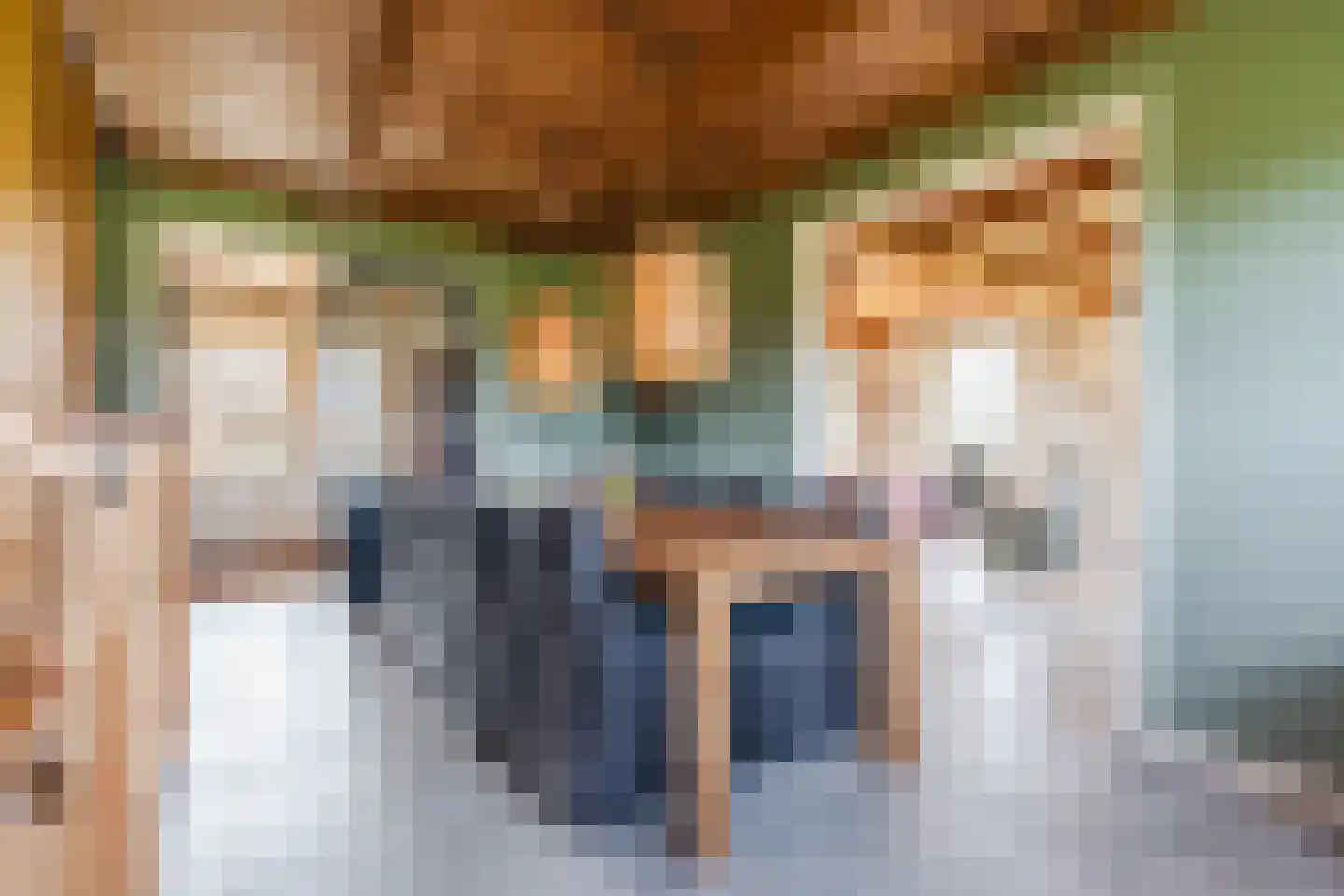 Oosteinde 86 Nieuwleusen thumbnail 14