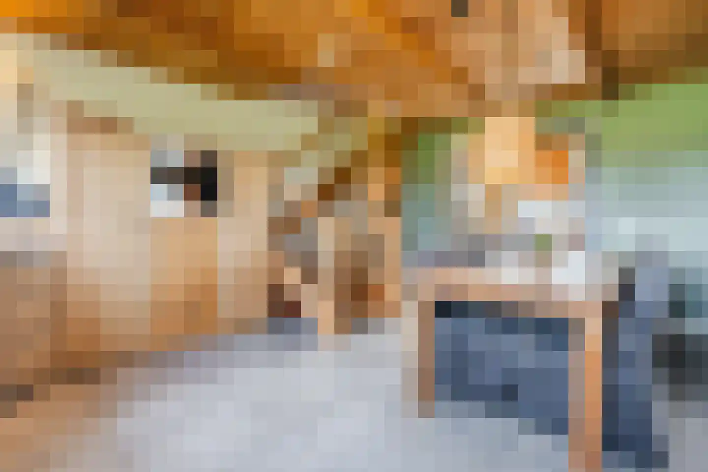 Oosteinde 86 Nieuwleusen thumbnail 15