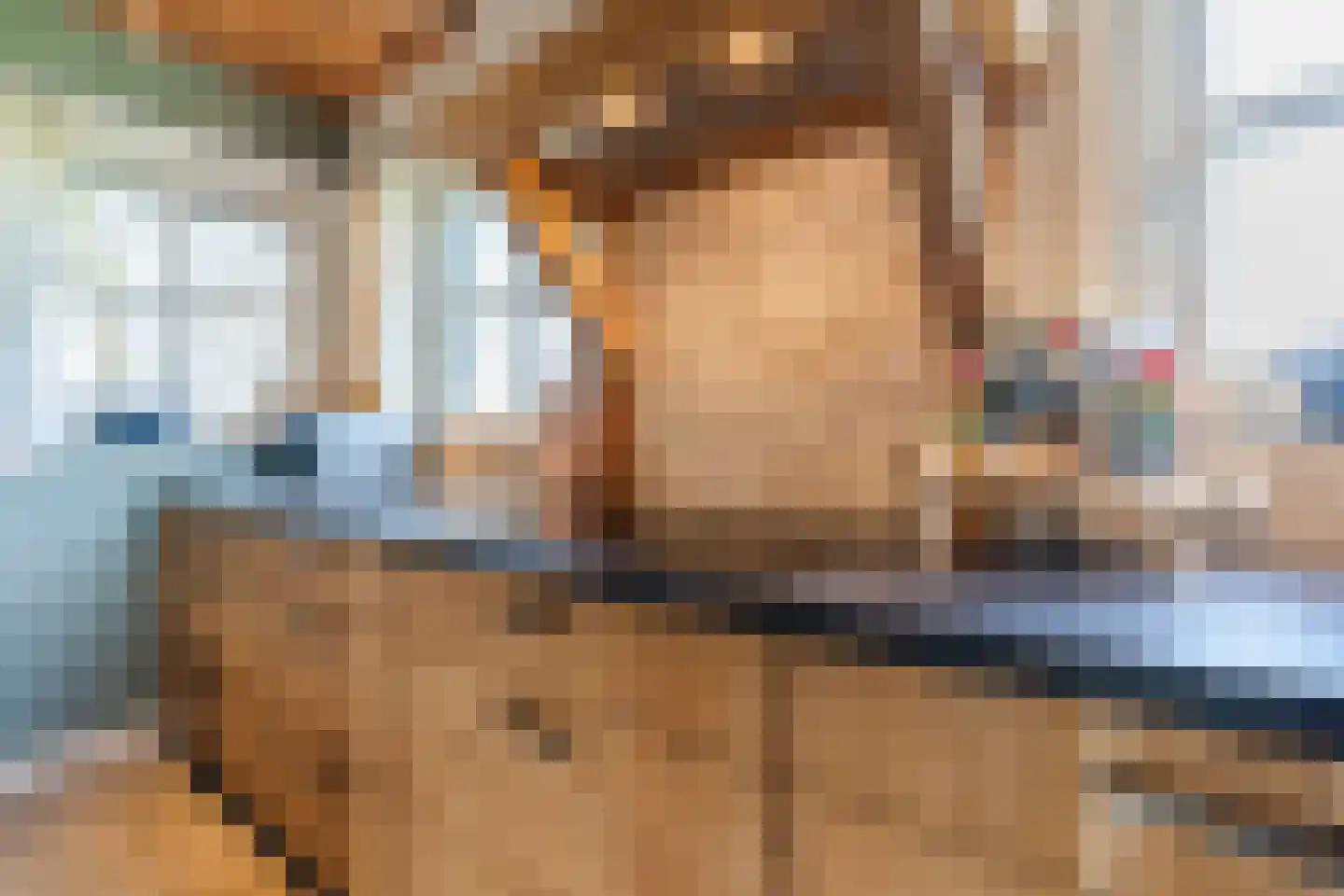 Oosteinde 86 Nieuwleusen thumbnail 17