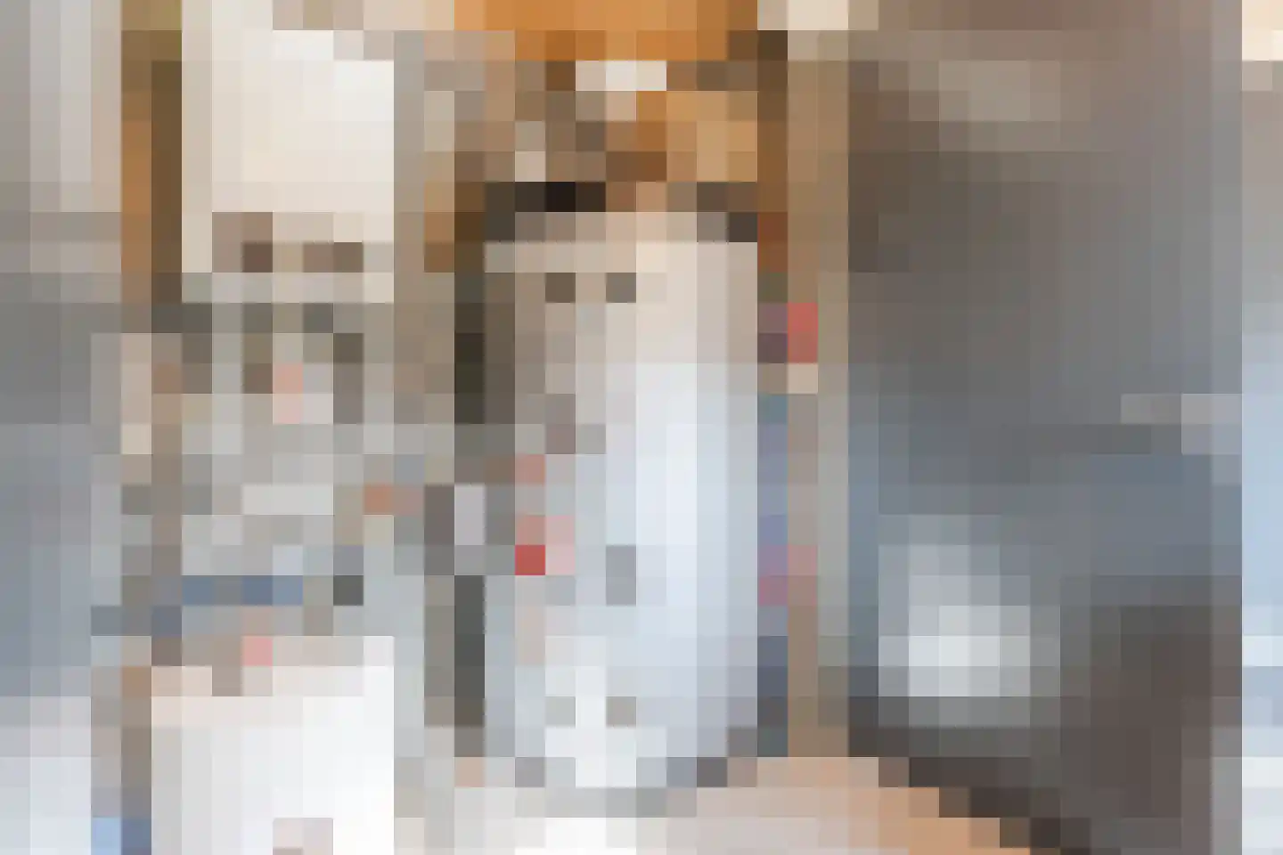 Oosteinde 86 Nieuwleusen thumbnail 19
