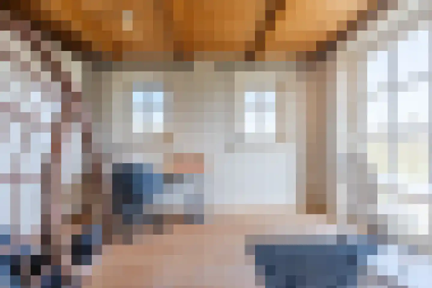 Oosteinde 86 Nieuwleusen thumbnail 22