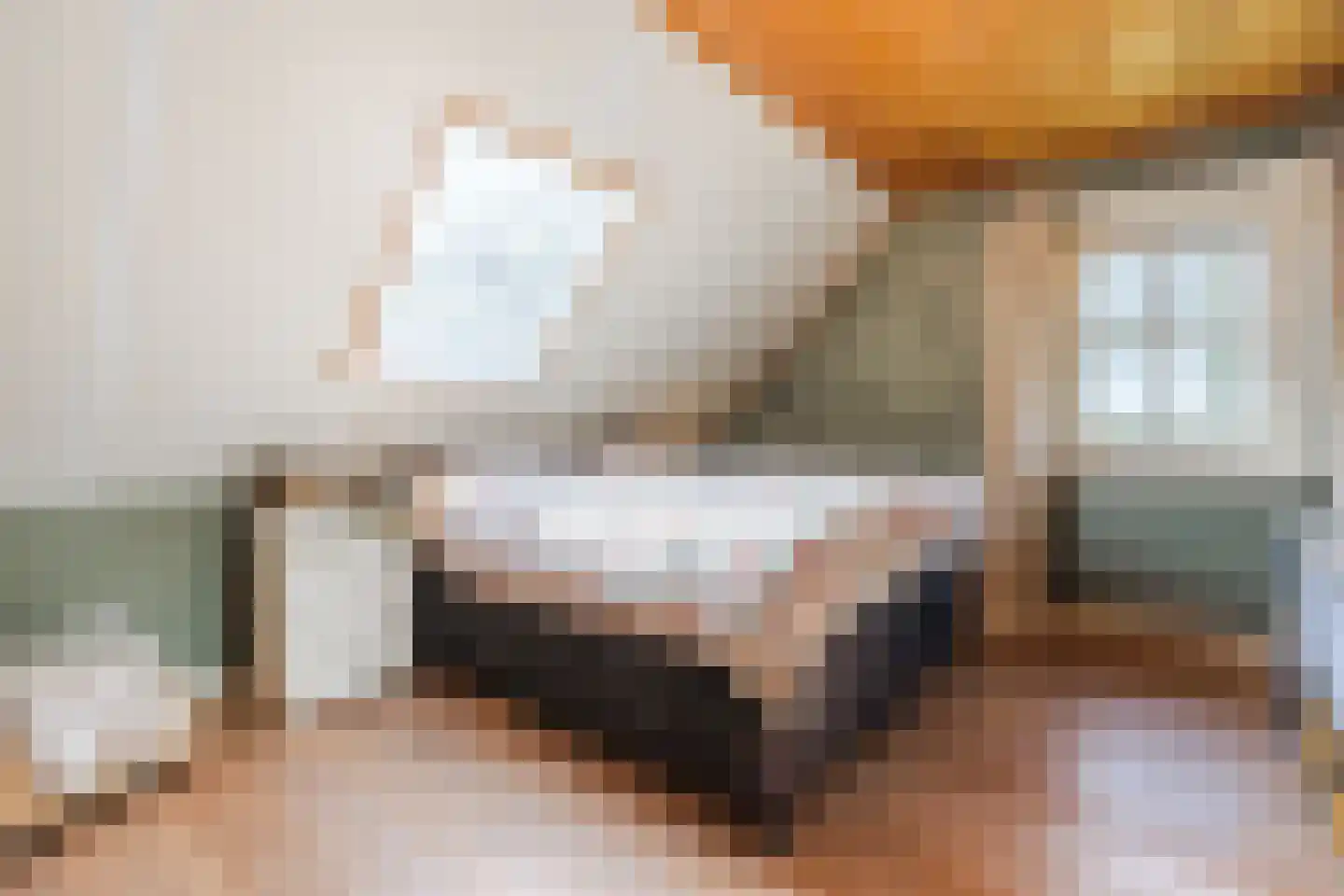 Oosteinde 86 Nieuwleusen thumbnail 27