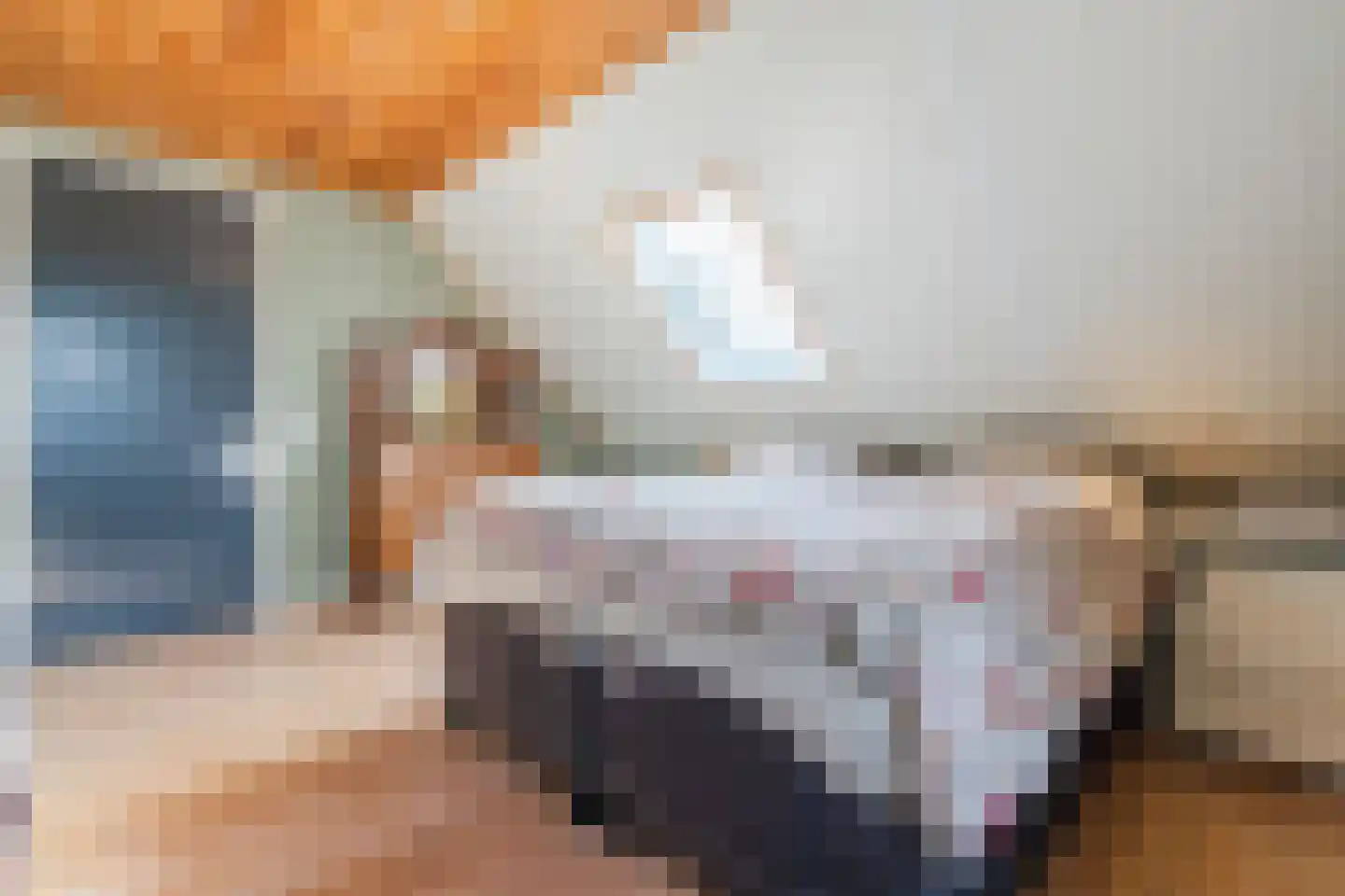 Oosteinde 86 Nieuwleusen thumbnail 28