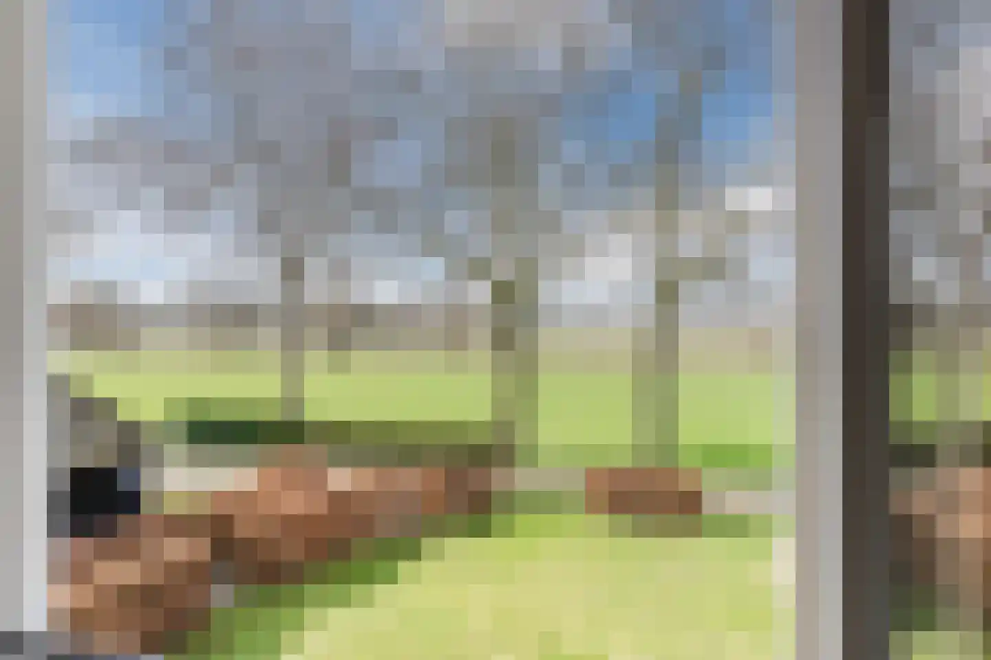 Oosteinde 86 Nieuwleusen thumbnail 29