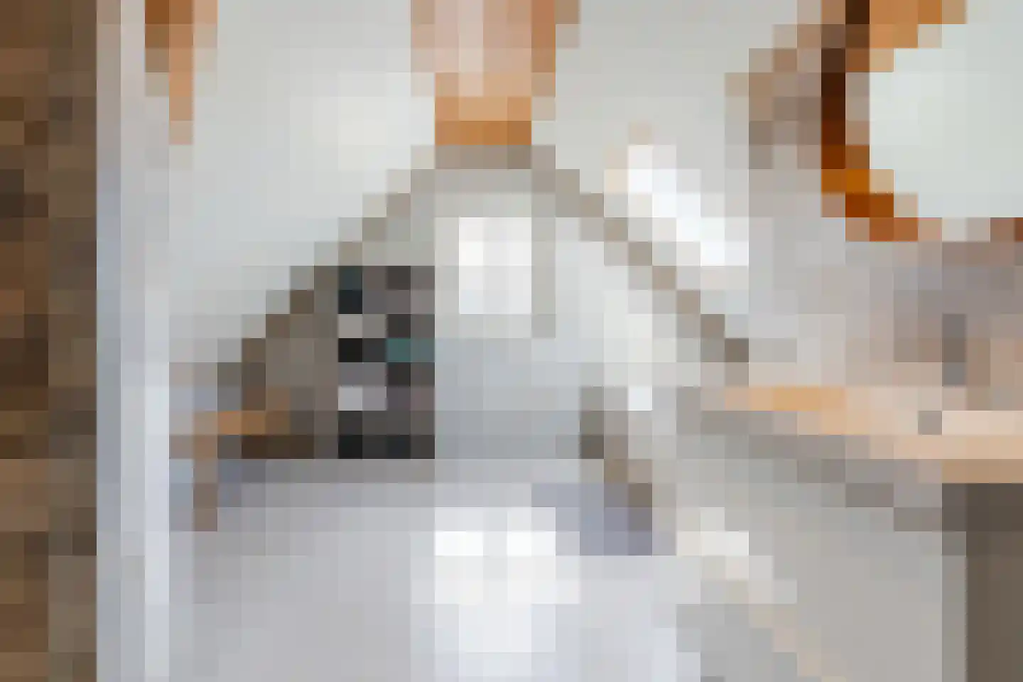 Oosteinde 86 Nieuwleusen thumbnail 30
