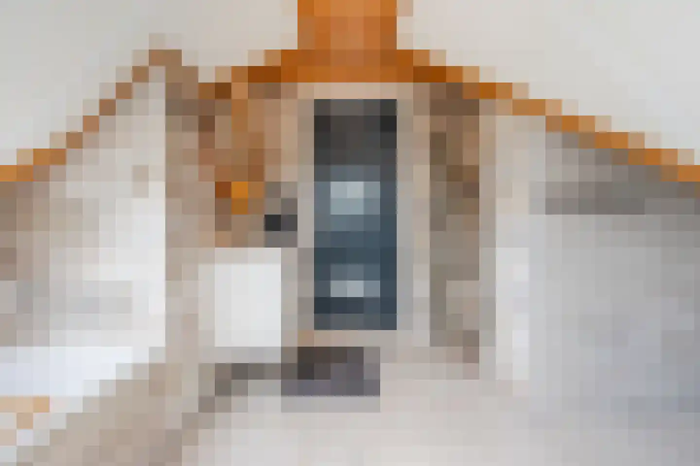 Oosteinde 86 Nieuwleusen thumbnail 31