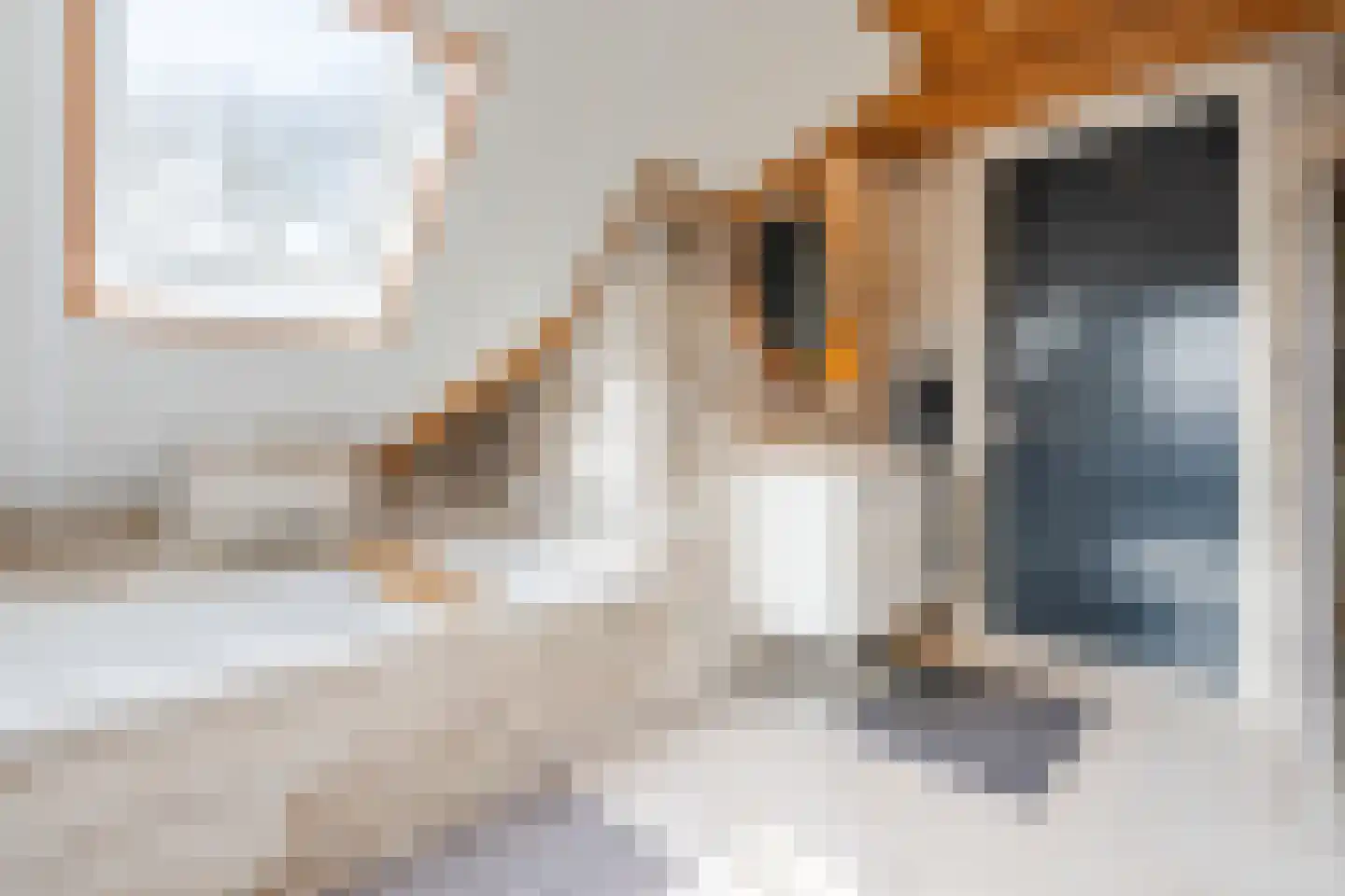 Oosteinde 86 Nieuwleusen thumbnail 32