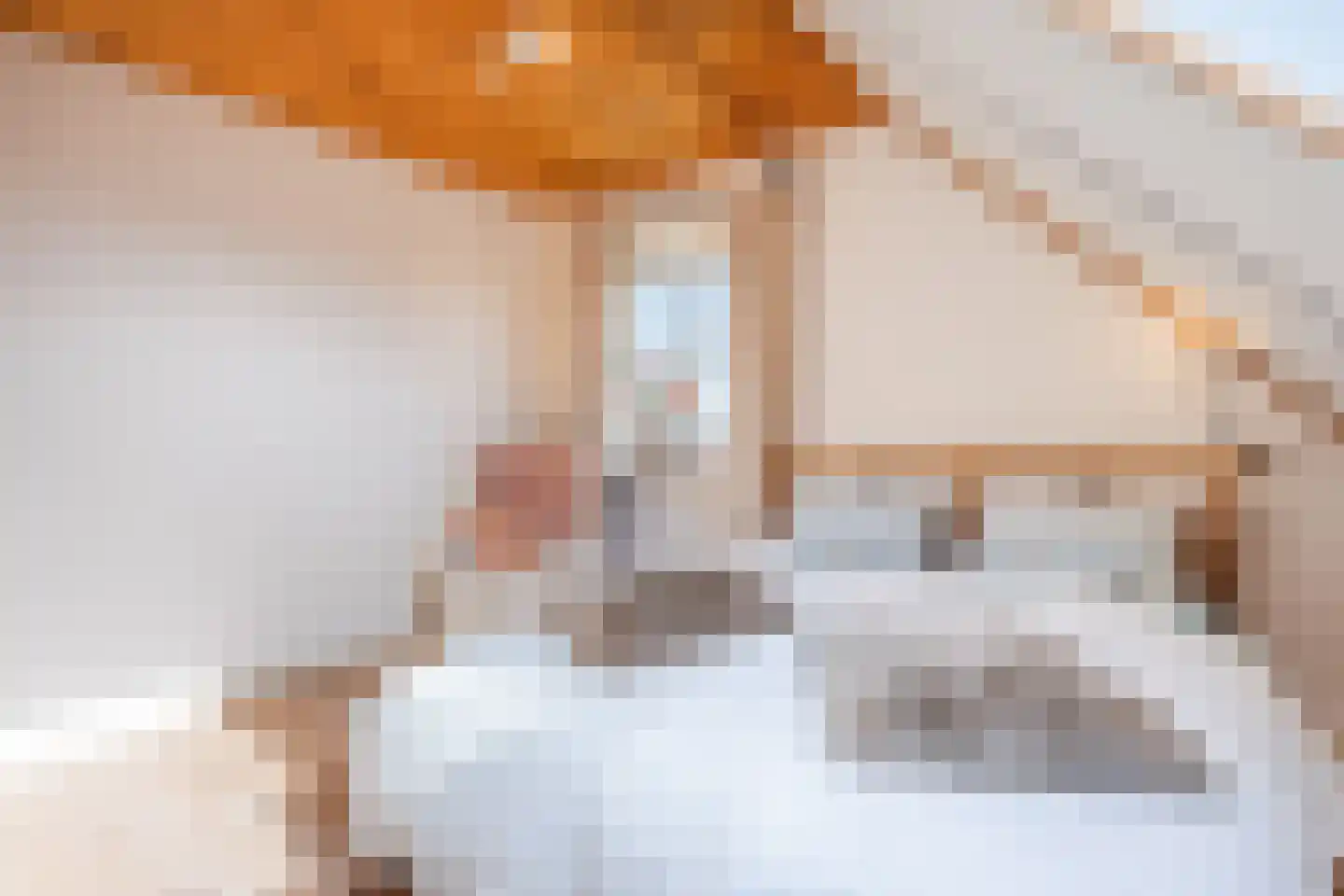 Oosteinde 86 Nieuwleusen thumbnail 34