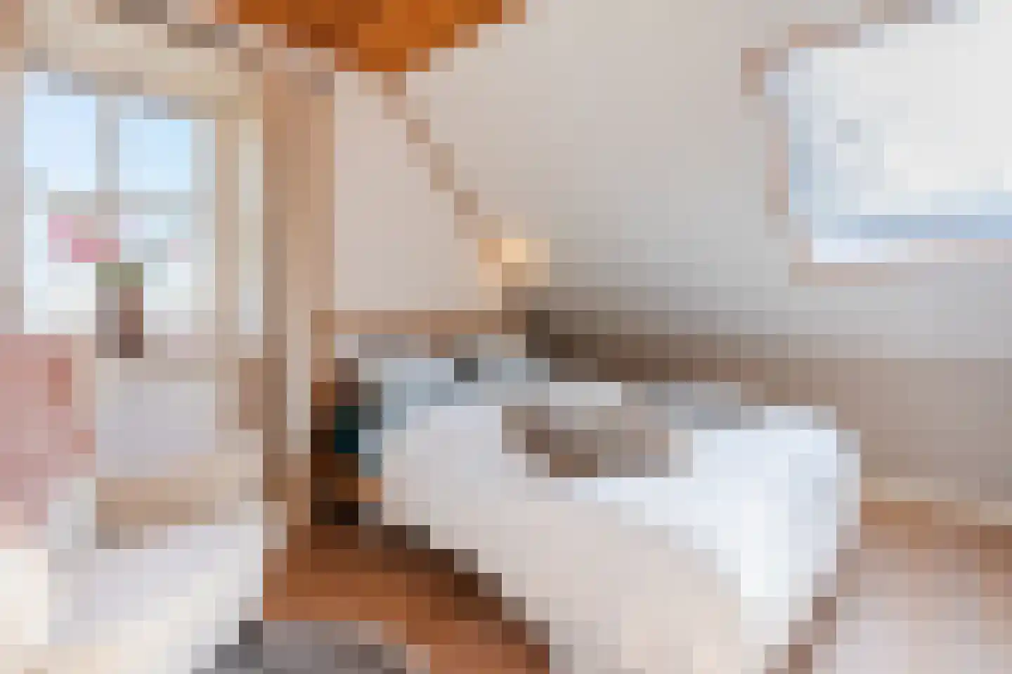 Oosteinde 86 Nieuwleusen thumbnail 35