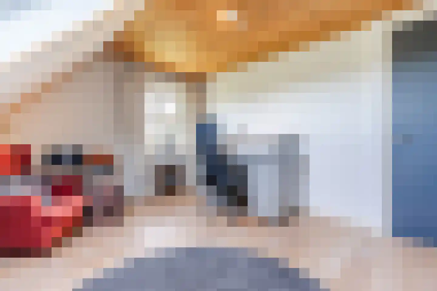 Oosteinde 86 Nieuwleusen thumbnail 37
