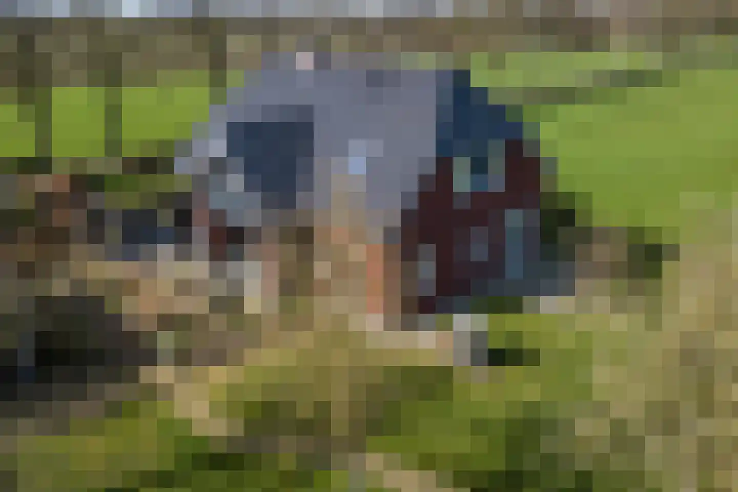 Oosteinde 86 Nieuwleusen thumbnail 44