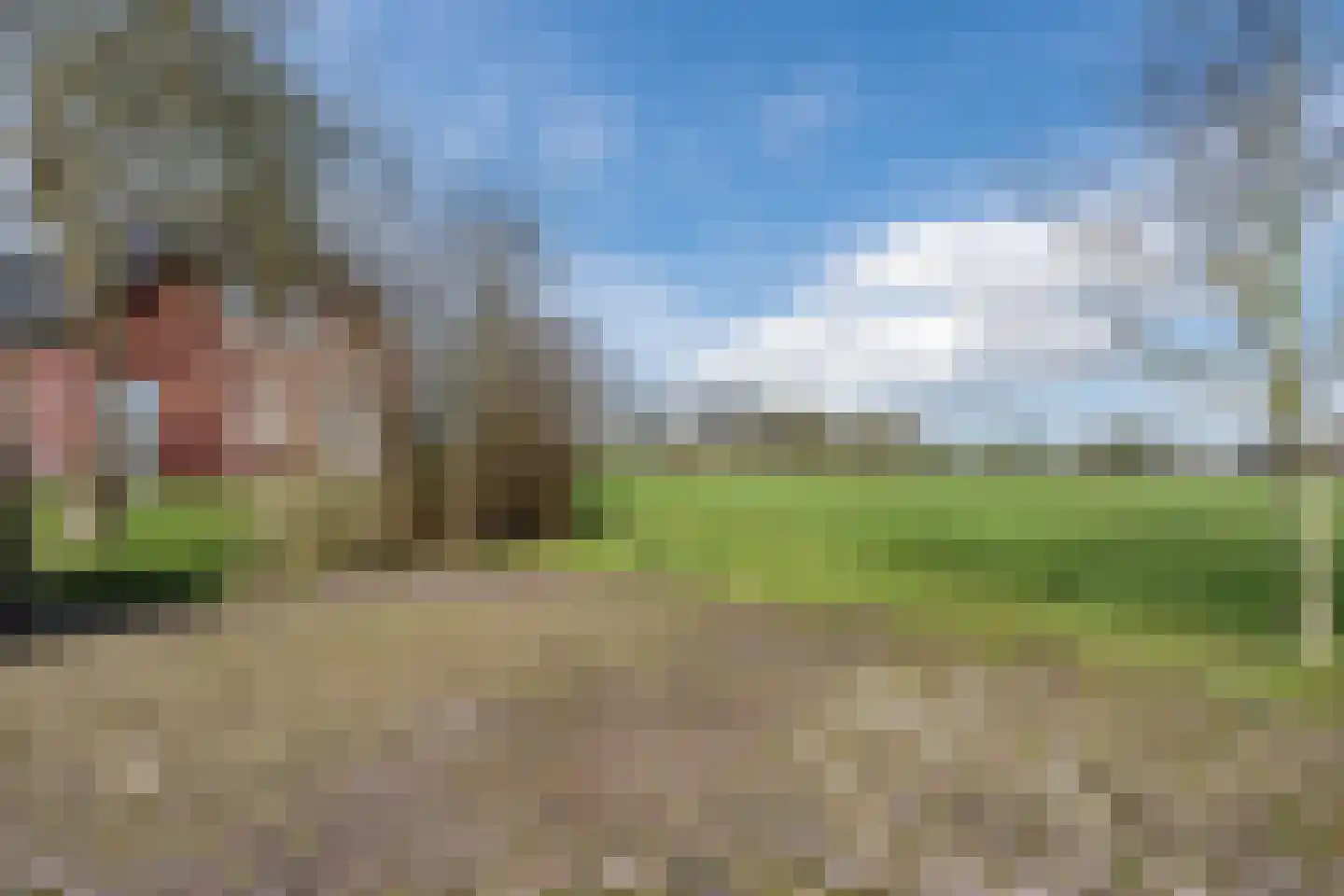 Oosteinde 86 Nieuwleusen thumbnail 45