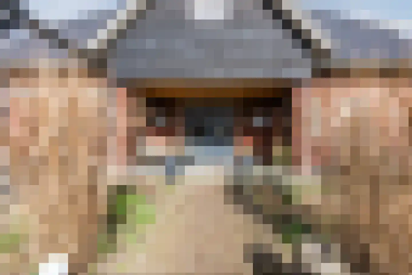 Oosteinde 86 Nieuwleusen thumbnail 47