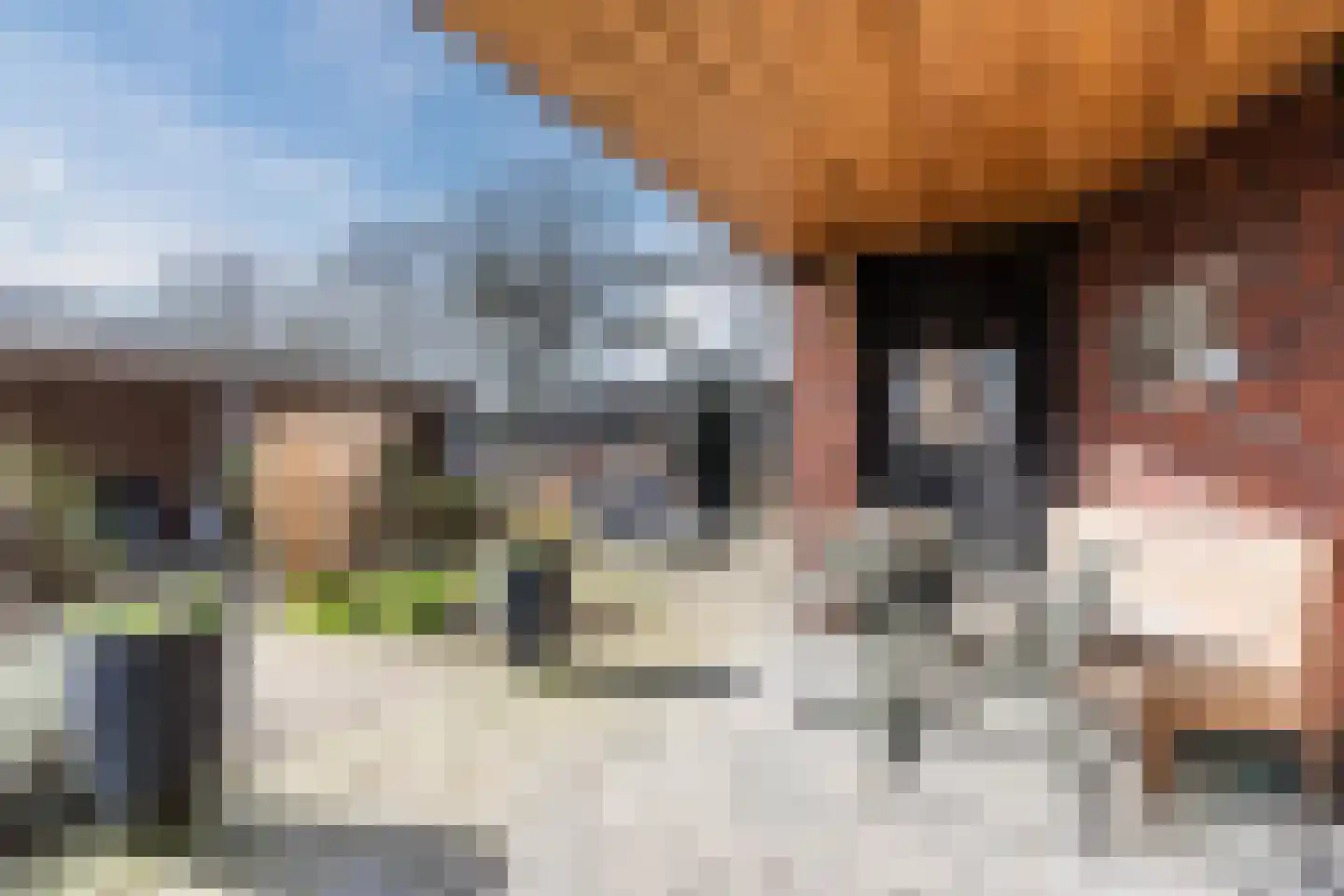 Oosteinde 86 Nieuwleusen thumbnail 48
