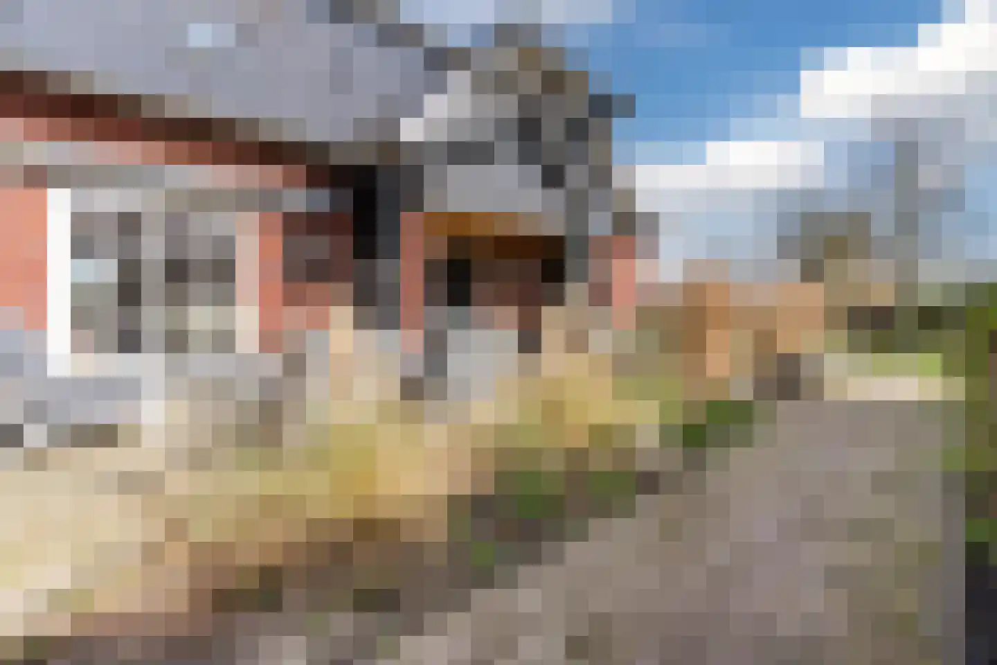 Oosteinde 86 Nieuwleusen thumbnail 49