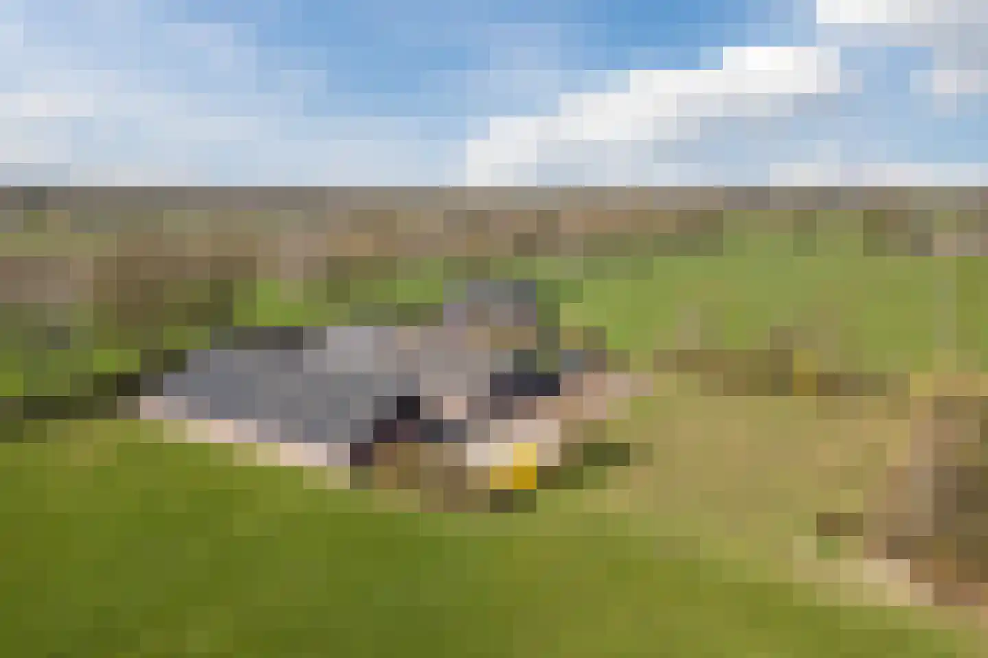 Oosteinde 86 Nieuwleusen thumbnail 5