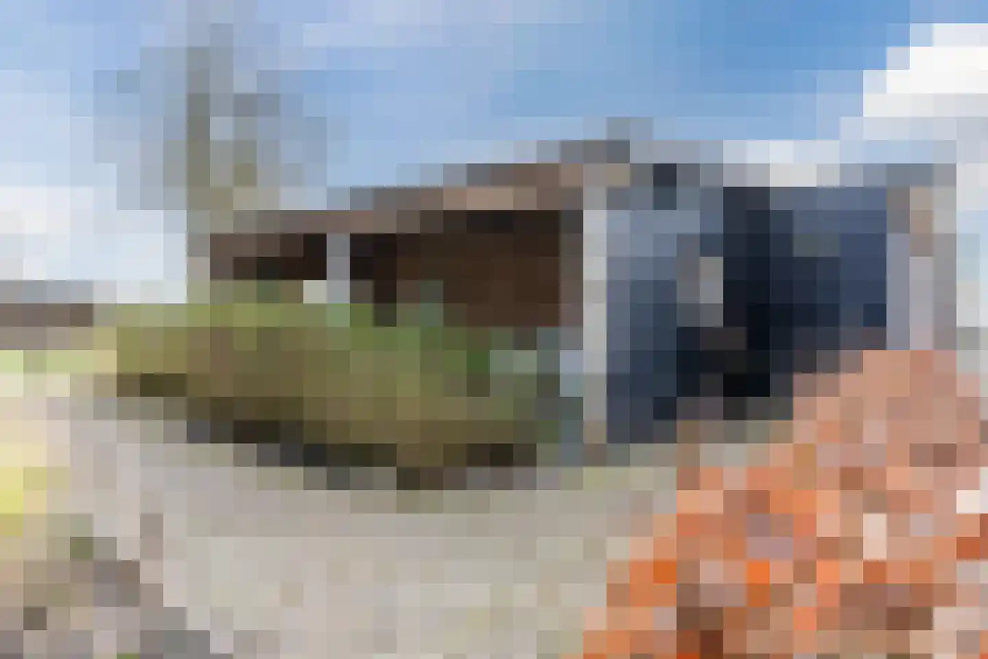 Oosteinde 86 Nieuwleusen thumbnail 53