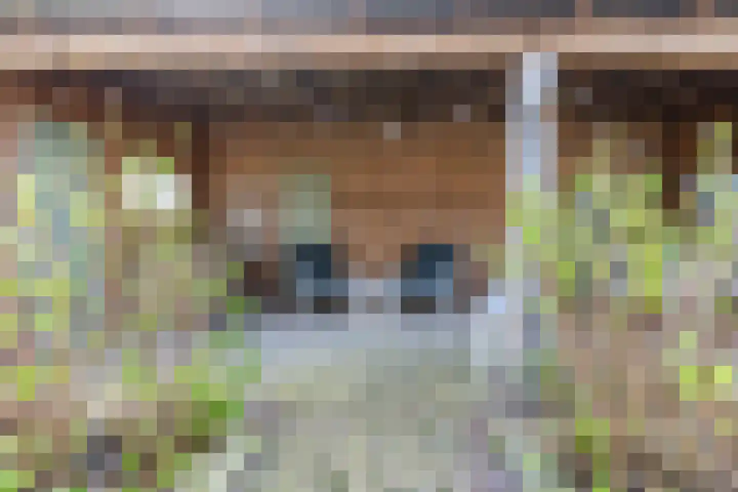 Oosteinde 86 Nieuwleusen thumbnail 55