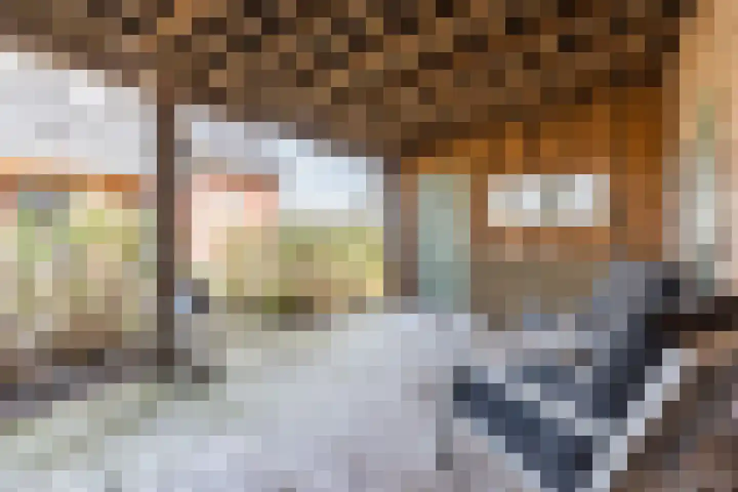 Oosteinde 86 Nieuwleusen thumbnail 56