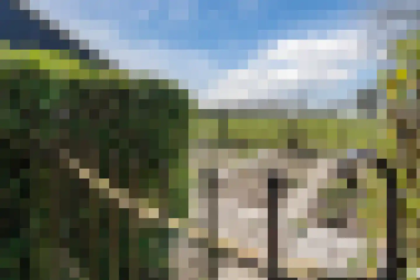 Oosteinde 86 Nieuwleusen thumbnail 58