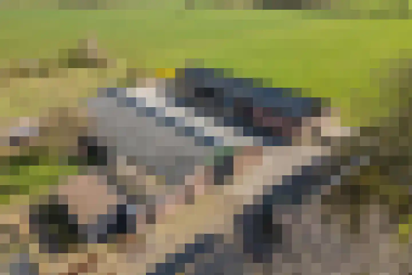 Oosteinde 86 Nieuwleusen thumbnail 61