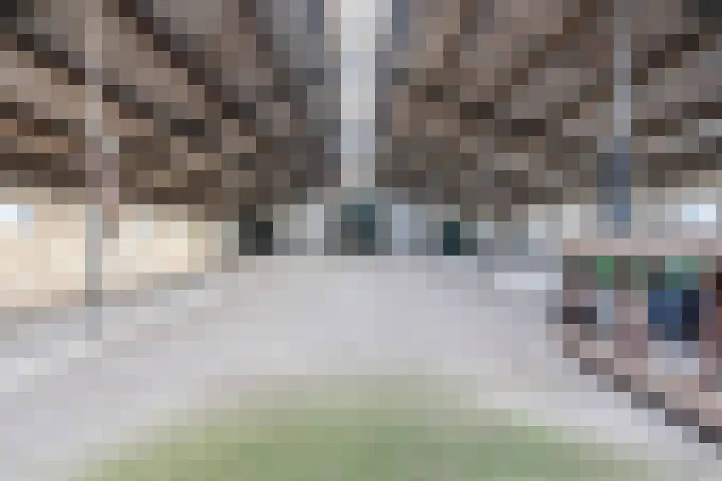 Oosteinde 86 Nieuwleusen thumbnail 63