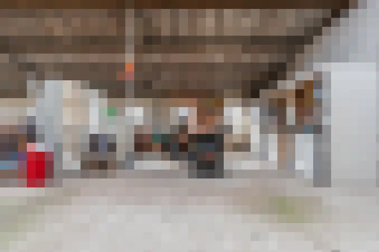 Oosteinde 86 Nieuwleusen thumbnail 65