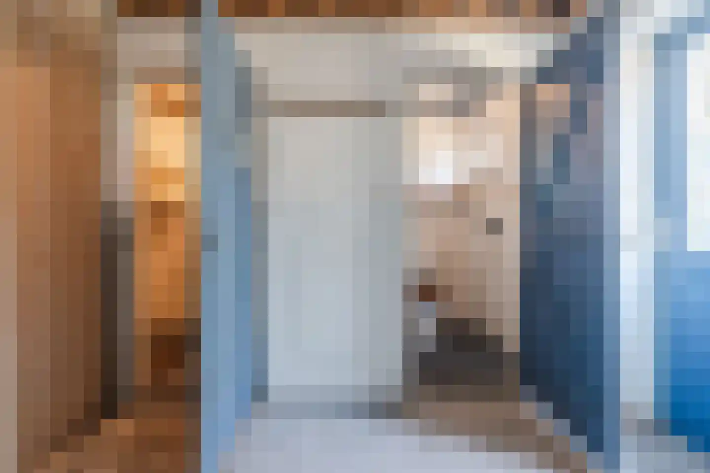 Oosteinde 86 Nieuwleusen thumbnail 68
