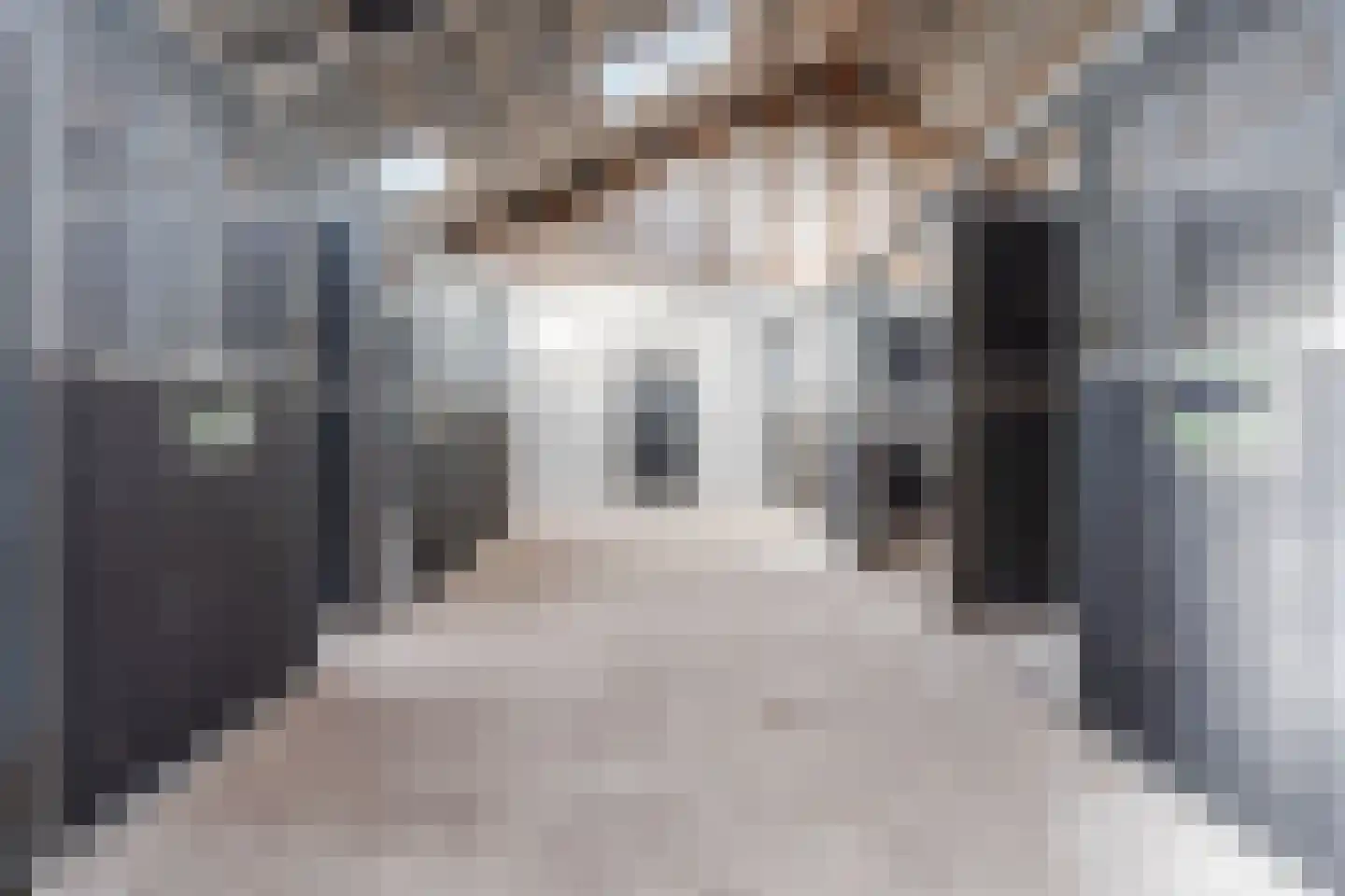 Oosteinde 86 Nieuwleusen thumbnail 73