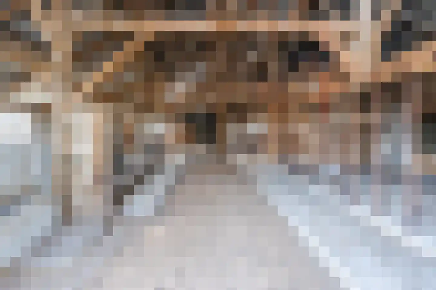 Oosteinde 86 Nieuwleusen thumbnail 78