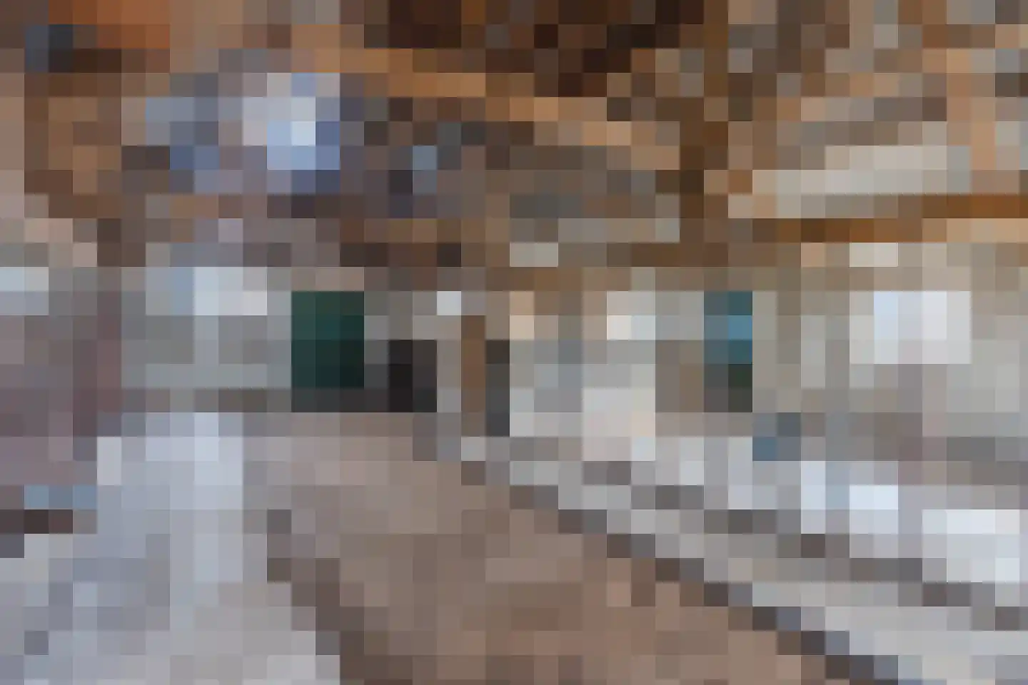 Oosteinde 86 Nieuwleusen thumbnail 79