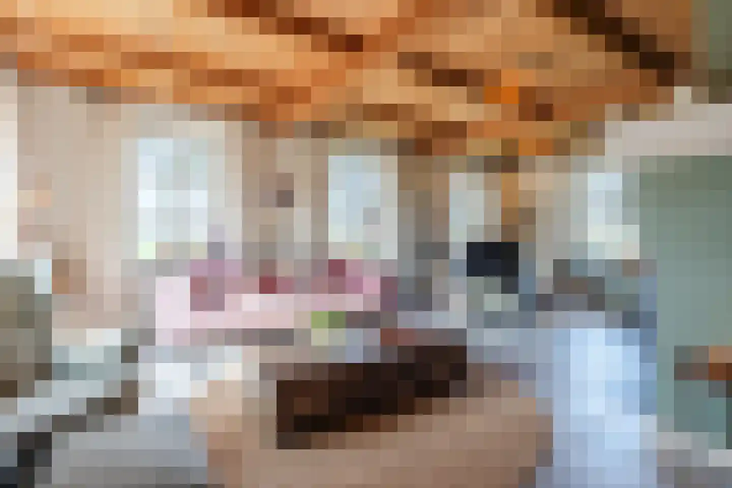 Oosteinde 86 Nieuwleusen thumbnail 8