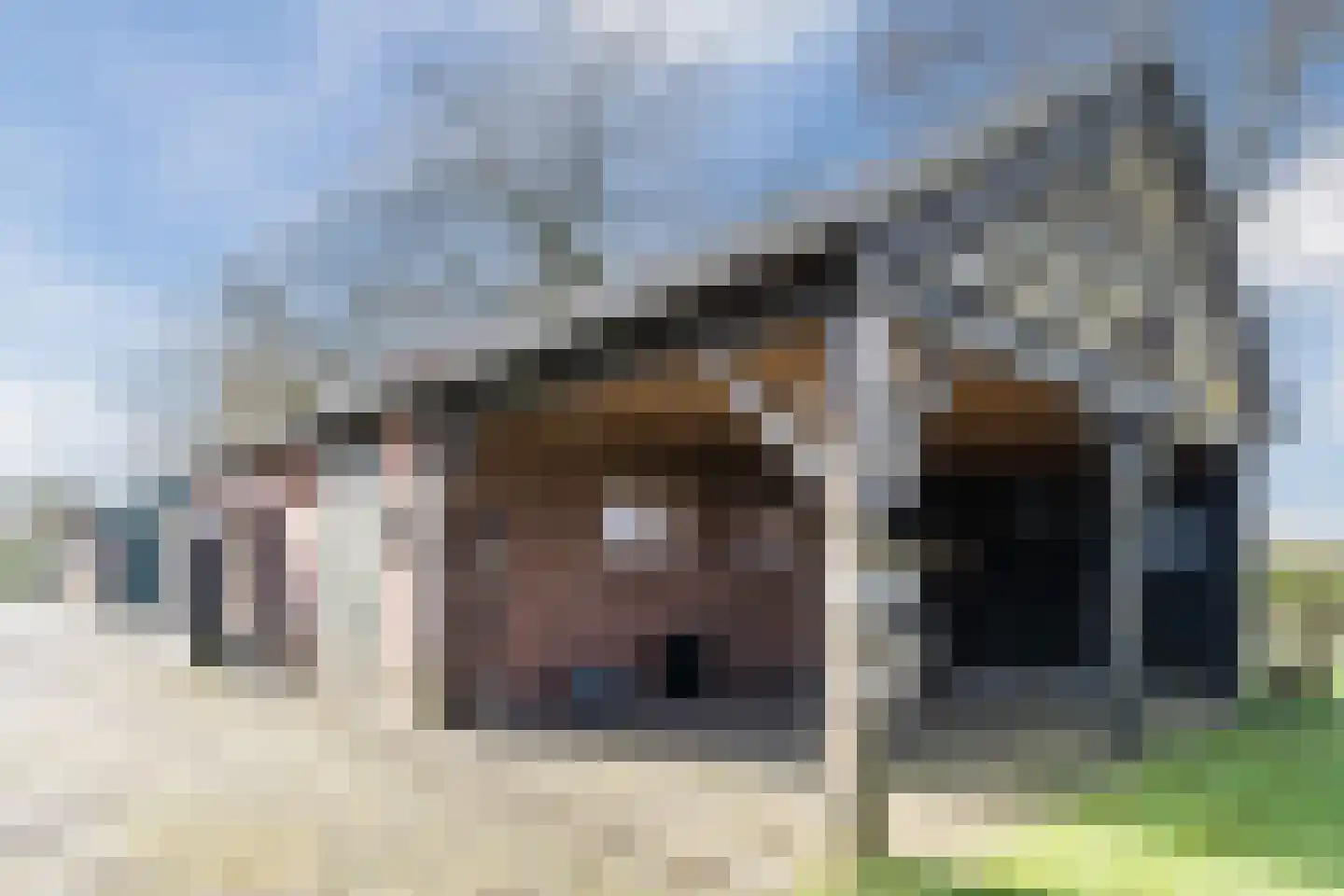 Oosteinde 86 Nieuwleusen thumbnail 81