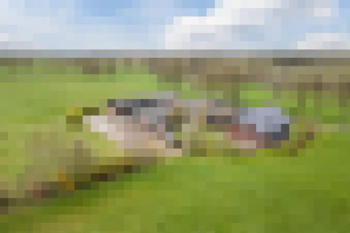 Oosteinde 86 Nieuwleusen thumbnail 84