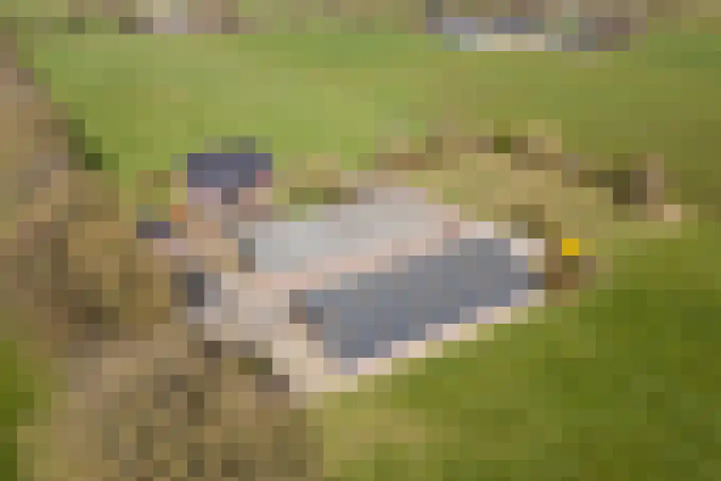 Oosteinde 86 Nieuwleusen thumbnail 87