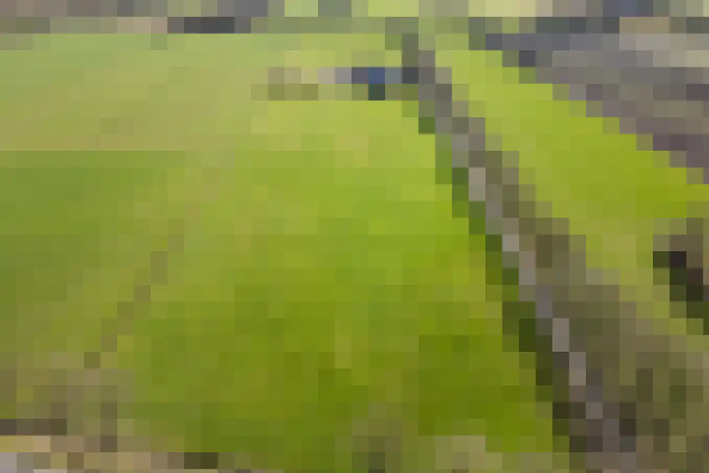 Oosteinde 86 Nieuwleusen thumbnail 90