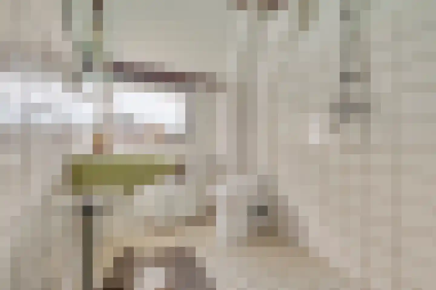 Oosteinde 88 Wormer thumbnail 38